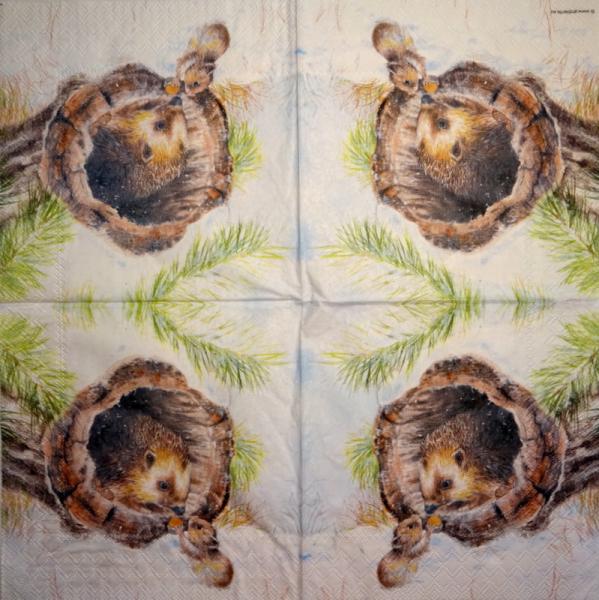 045 Animals Autumn - 3-ply - Atelier